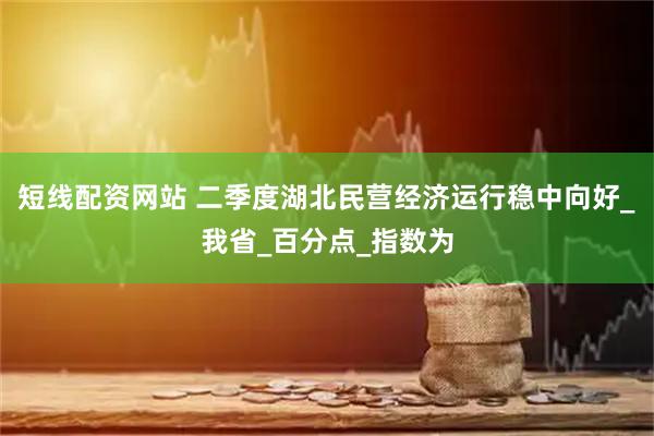 短线配资网站 二季度湖北民营经济运行稳中向好_我省_百分点_指数为